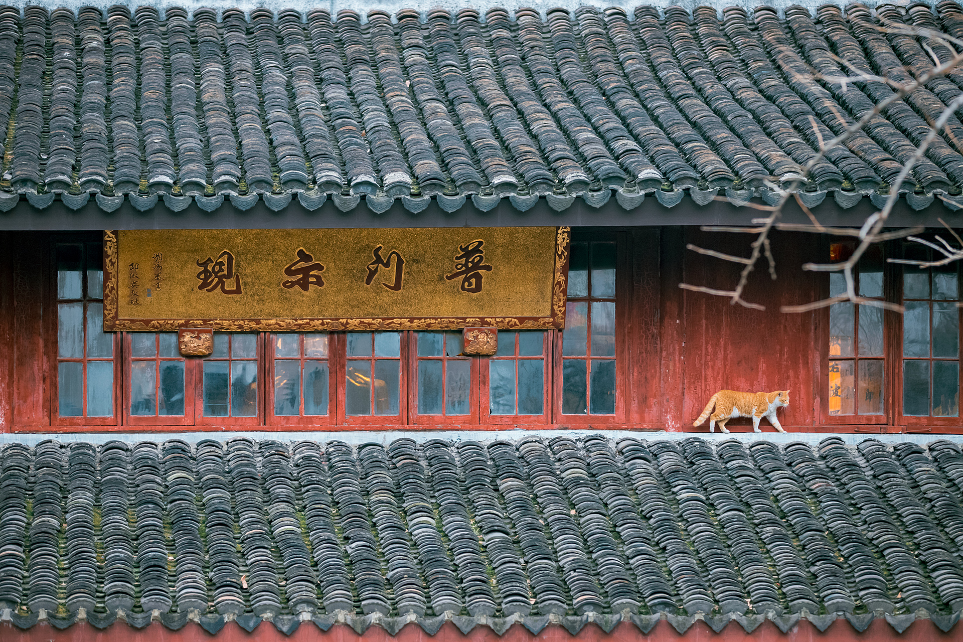 Tailwind CSS Carousel component